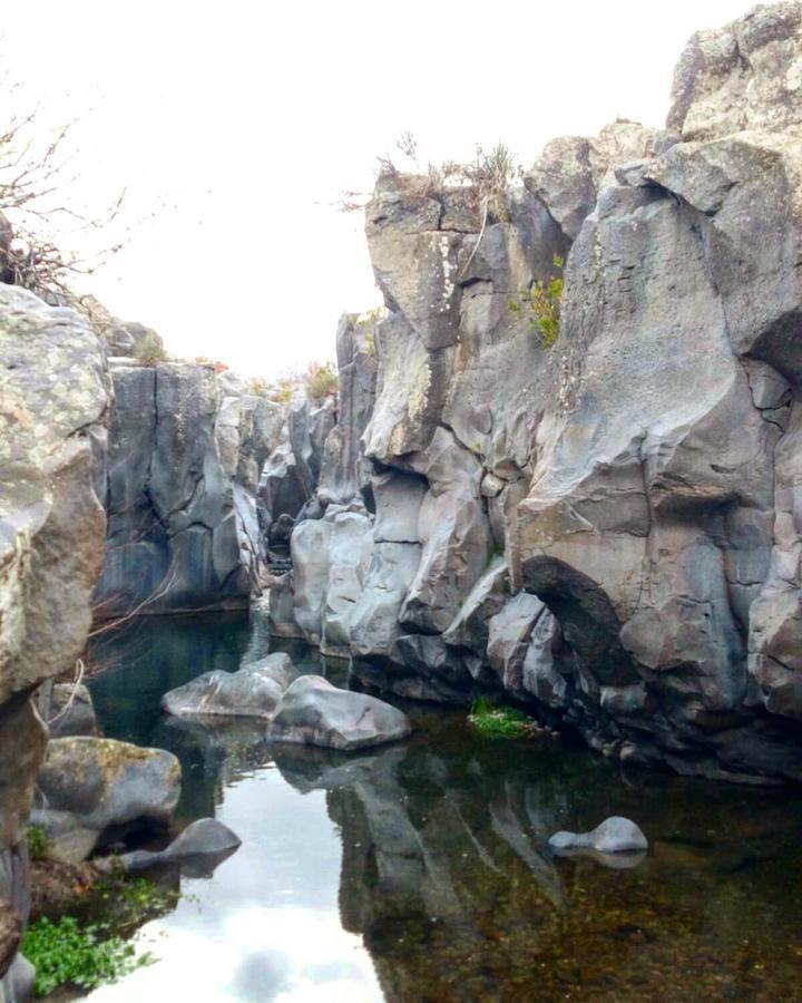B&B Fragranza Di Sicilia Giardini Naxos Bagian luar foto